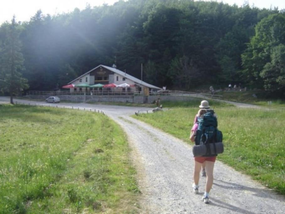 Cozy Rooms In Nature, Perfect For Relax Ilirska Bistrica Zewnętrze zdjęcie