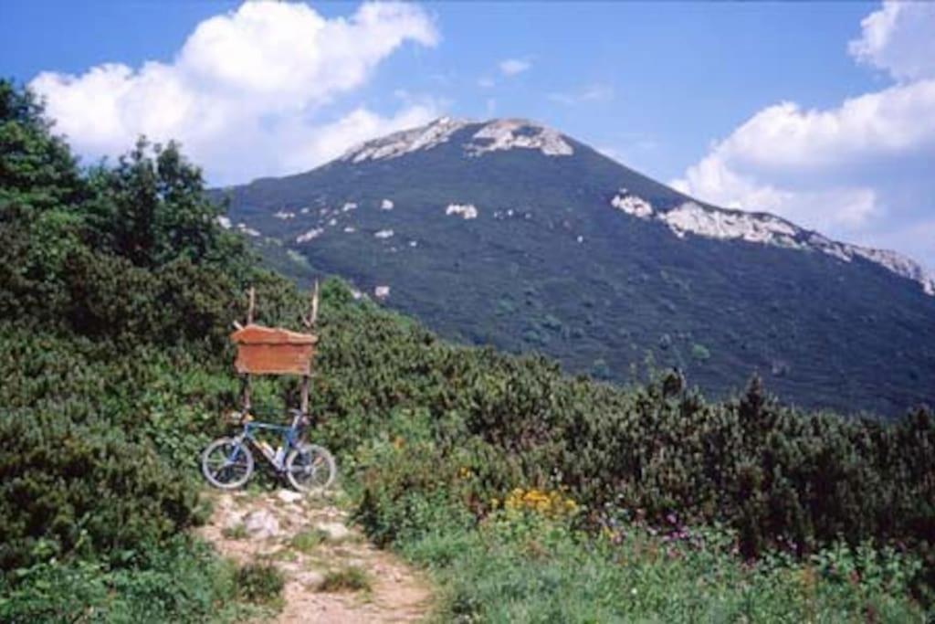 Cozy Rooms In Nature, Perfect For Relax Ilirska Bistrica Zewnętrze zdjęcie